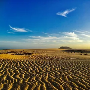 https://land-and-wild-holidays.hotelsfuerteventura.org